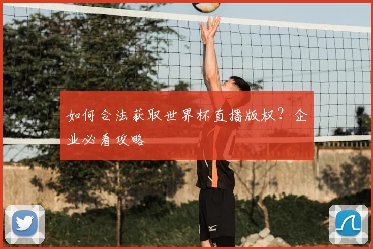 如何合法获取世界杯直播版权？企业必看攻略