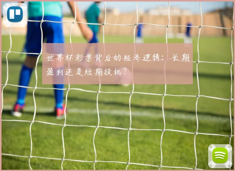 世界杯彩票背后的经济逻辑：长期盈利还是短期投机？