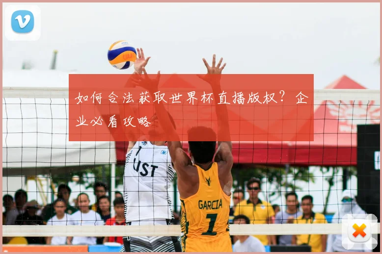 如何合法获取世界杯直播版权？企业必看攻略