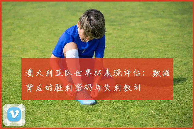 澳大利亚队世界杯表现评估:数据背后的胜利密码与失利教训