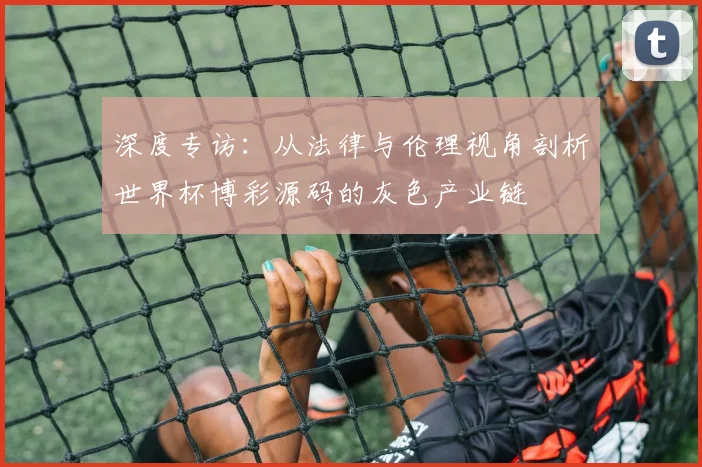 深度专访：从法律与伦理视角剖析世界杯博彩源码的灰色产业链