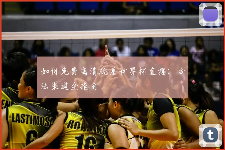 如何免费高清观看世界杯直播：合法渠道全指南